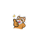 フェレットめいちゃん（個別スタンプ：13）