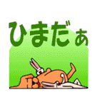 犬 hanao とウサギとクマと（個別スタンプ：20）