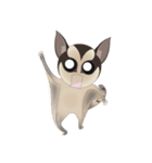Sweetie Sugar glider（個別スタンプ：12）