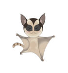 Sweetie Sugar glider（個別スタンプ：15）