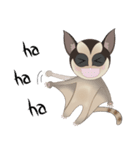 Sweetie Sugar glider（個別スタンプ：16）