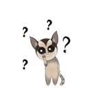 Sweetie Sugar glider（個別スタンプ：17）