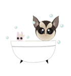 Sweetie Sugar glider（個別スタンプ：19）