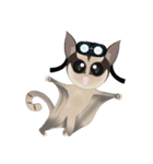 Sweetie Sugar glider（個別スタンプ：21）