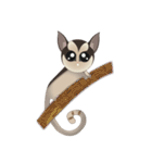 Sweetie Sugar glider（個別スタンプ：23）