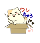 箱入りにゃんこ（個別スタンプ：9）