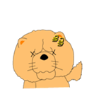 ちゃうちゃう犬（個別スタンプ：7）
