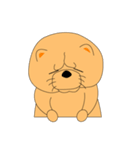 ちゃうちゃう犬（個別スタンプ：21）