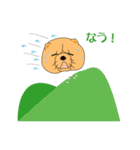 ちゃうちゃう犬（個別スタンプ：37）