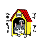 哺乳類イヌ科柴犬（個別スタンプ：32）