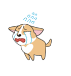 ハッピーなコーギー犬のコゾー（個別スタンプ：11）