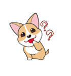 ハッピーなコーギー犬のコゾー（個別スタンプ：16）