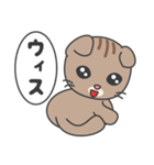 フークイ-ねこ（個別スタンプ：1）