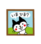 CATS ＆ PEACE 2（個別スタンプ：34）