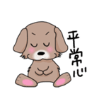 Mix犬『セナン』（個別スタンプ：2）