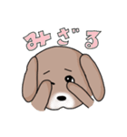 Mix犬『セナン』（個別スタンプ：24）