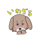 Mix犬『セナン』（個別スタンプ：25）