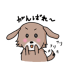 Mix犬『セナン』（個別スタンプ：40）