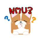 いなり犬 ～コーギー～ スラング略語編（個別スタンプ：10）