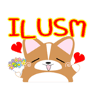 いなり犬 ～コーギー～ スラング略語編（個別スタンプ：34）