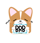 いなり犬 ～コーギー～ スラング略語編（個別スタンプ：39）