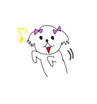 シーズーこはなちゃん！（個別スタンプ：7）