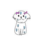 シーズーこはなちゃん！（個別スタンプ：8）