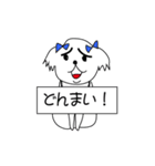 シーズーこはなちゃん！（個別スタンプ：19）
