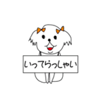 シーズーこはなちゃん！（個別スタンプ：20）