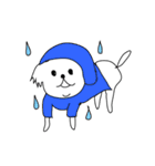 シーズーこはなちゃん！（個別スタンプ：36）