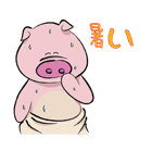 Pigly and friends, with Fukuoka words...（個別スタンプ：12）
