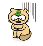 たんなる狸（個別スタンプ：18）