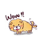 Chow Chow Doggy (English)（個別スタンプ：13）