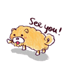 Chow Chow Doggy (English)（個別スタンプ：20）