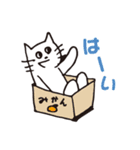 同意する白い猫（個別スタンプ：40）