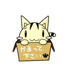 アピにゃんスタンプ 第1弾（個別スタンプ：33）