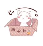 こにゃんこと。（個別スタンプ：19）