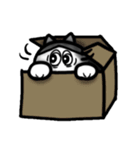 こるくん（個別スタンプ：31）