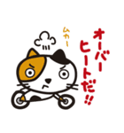 かばいいねこライダー（個別スタンプ：1）