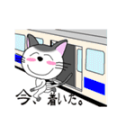 ニャッピのゆる～い1日（個別スタンプ：11）