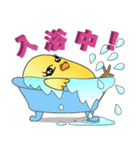 インコデラックスとウルトラインコ 2（個別スタンプ：9）