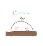 しらたま（個別スタンプ：16）