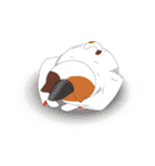 公家猫にゃん麿（個別スタンプ：10）