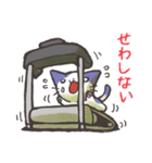 福井弁にゃんこスタンプ（個別スタンプ：34）