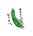 カボチャ、ときどきナス、キュウリ。（個別スタンプ：30）