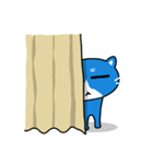 blue-white cat（個別スタンプ：9）