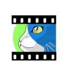 blue-white cat（個別スタンプ：31）