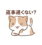 猫とうさぎの既読攻めスタンプ（個別スタンプ：22）