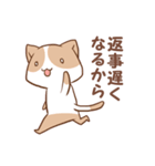 猫とうさぎの既読攻めスタンプ（個別スタンプ：29）