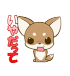 チワワたん2（個別スタンプ：14）